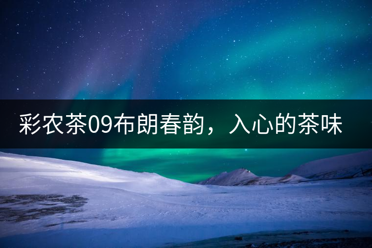 彩農(nóng)茶09布朗春韻，入心的茶味兒