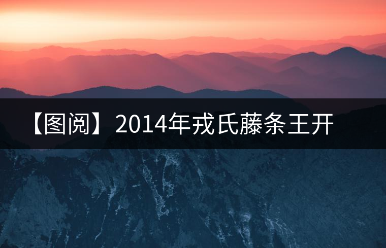 【圖閱】2014年戎氏藤條王開湯 【圖閱】2014年戎氏藤條王開湯