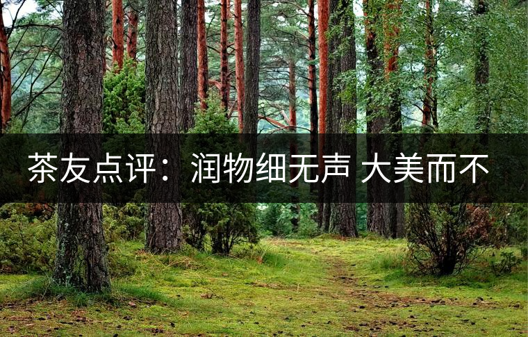 茶友點評:潤物細無聲 大美而不言——潤元昌大美之春熟茶 茶友點評:潤物細無聲 大美而不言——潤元昌大美之春熟茶