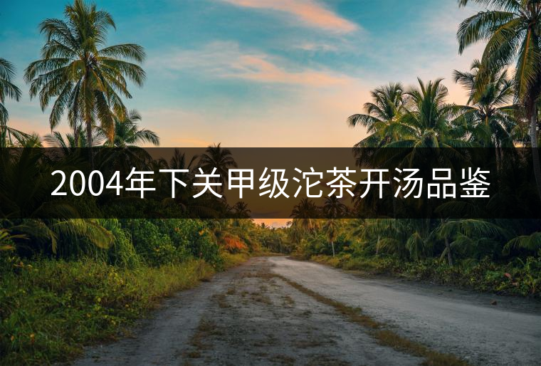 2004年下關(guān)甲級沱茶開湯品鑒 2004年下關(guān)甲級沱茶開湯品鑒