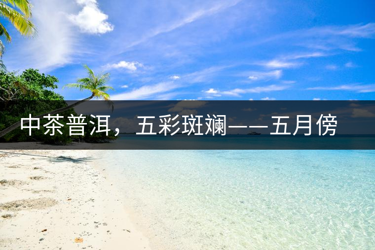 中茶普洱，五彩斑斕——五月傍晚，一道茶