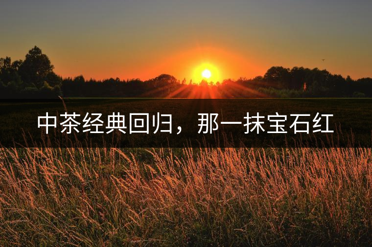 中茶經(jīng)典回歸，那一抹寶石紅