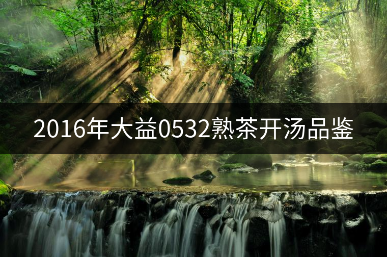 2016年大益0532熟茶開湯品鑒 2016年大益0532熟茶開湯品鑒