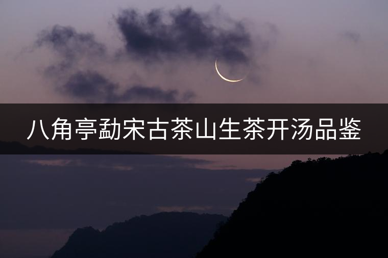 八角亭勐宋古茶山生茶開湯品鑒 八角亭勐宋古茶山生茶開湯品鑒