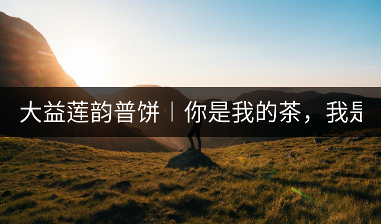 大益蓮韻普餅︱你是我的茶，我是你的人！