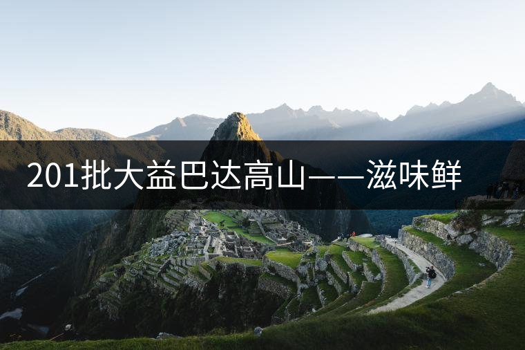 201批大益巴達(dá)高山——滋味鮮爽醇厚，回甘高而持久