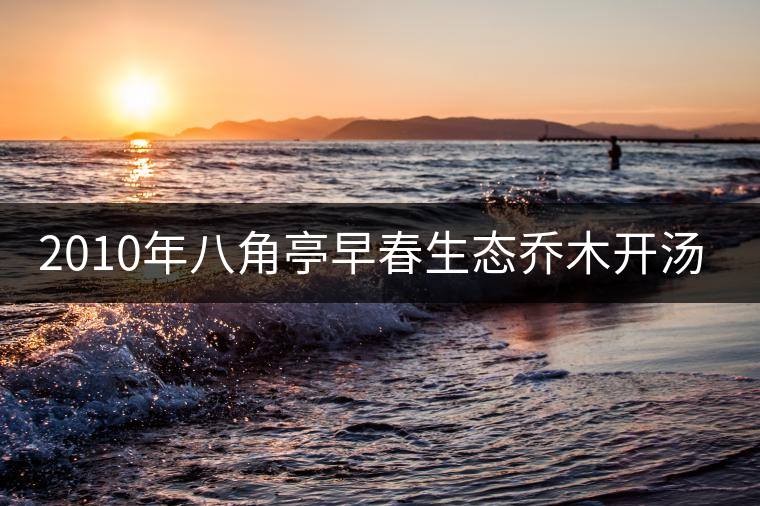 2010年八角亭早春生態(tài)喬木開湯品鑒 2010年八角亭早春生態(tài)喬木開湯品鑒