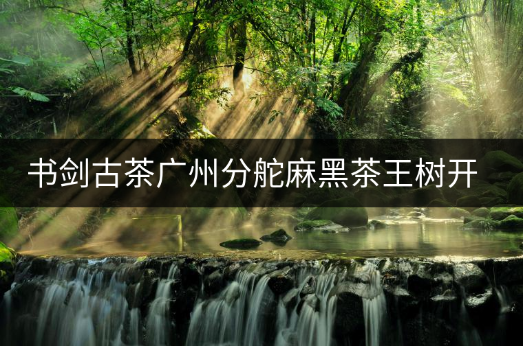 書(shū)劍古茶廣州分舵麻黑茶王樹(shù)開(kāi)湯品鑒 書(shū)劍古茶廣州分舵麻黑茶王樹(shù)開(kāi)湯品鑒