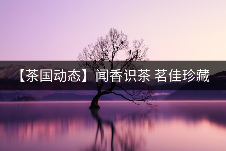 【茶國(guó)動(dòng)態(tài)】聞香識(shí)茶 茗佳珍藏o2016普洱茶品鑒會(huì)舉行 【茶國(guó)動(dòng)態(tài)】聞香識(shí)茶 茗佳珍藏o2016普洱茶品鑒會(huì)舉行