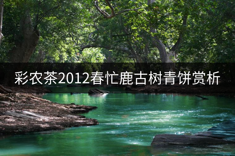 彩農(nóng)茶2012春忙鹿古樹(shù)青餅賞析 彩農(nóng)茶2012春忙鹿古樹(shù)青餅賞析
