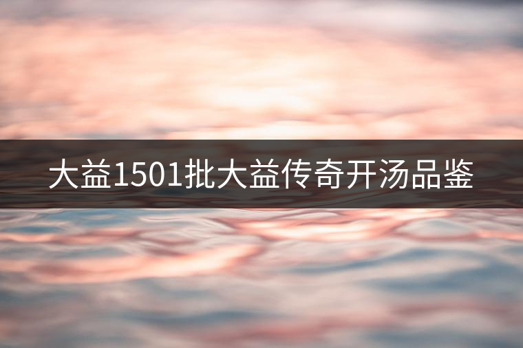 大益1501批大益?zhèn)髌骈_湯品鑒