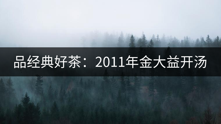 品經(jīng)典好茶:2011年金大益開湯 品經(jīng)典好茶:2011年金大益開湯