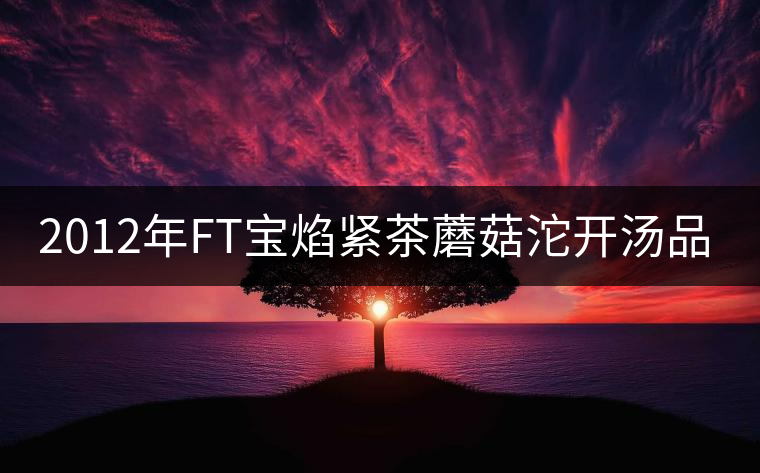 2012年FT寶焰緊茶蘑菇沱開(kāi)湯品鑒