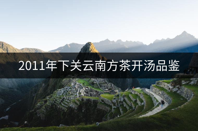 2011年下關(guān)云南方茶開(kāi)湯品鑒 2011年下關(guān)云南方茶開(kāi)湯品鑒