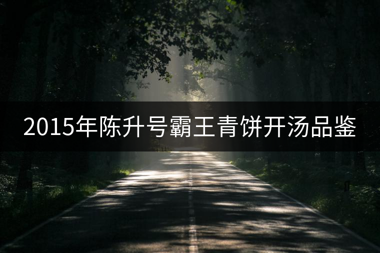 2015年陳升號(hào)霸王青餅開(kāi)湯品鑒 2015年陳升號(hào)霸王青餅開(kāi)湯品鑒