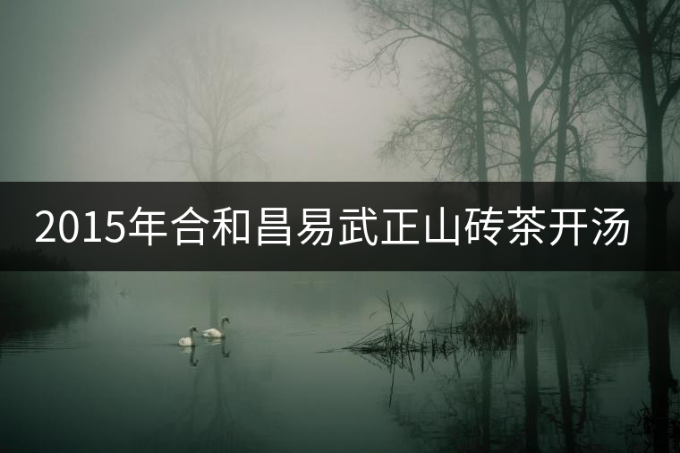 2015年合和昌易武正山磚茶開(kāi)湯品鑒