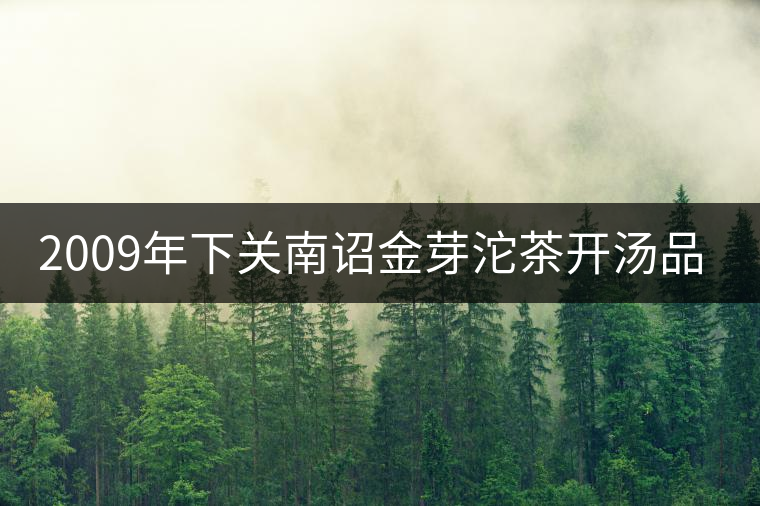 2009年下關南詔金芽沱茶開湯品鑒 2009年下關南詔金芽沱茶開湯品鑒