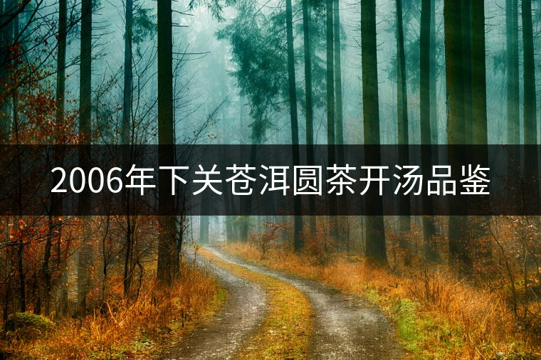 2006年下關蒼洱圓茶開湯品鑒