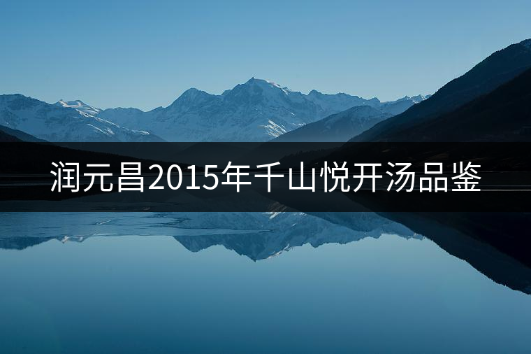 潤元昌2015年千山悅開湯品鑒