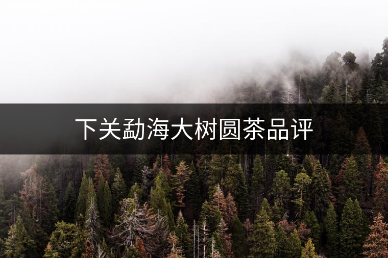 下關(guān)勐海大樹圓茶品評