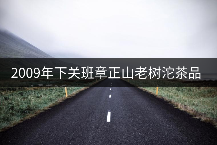 2009年下關班章正山老樹沱茶品評 2009年下關班章正山老樹沱茶品評