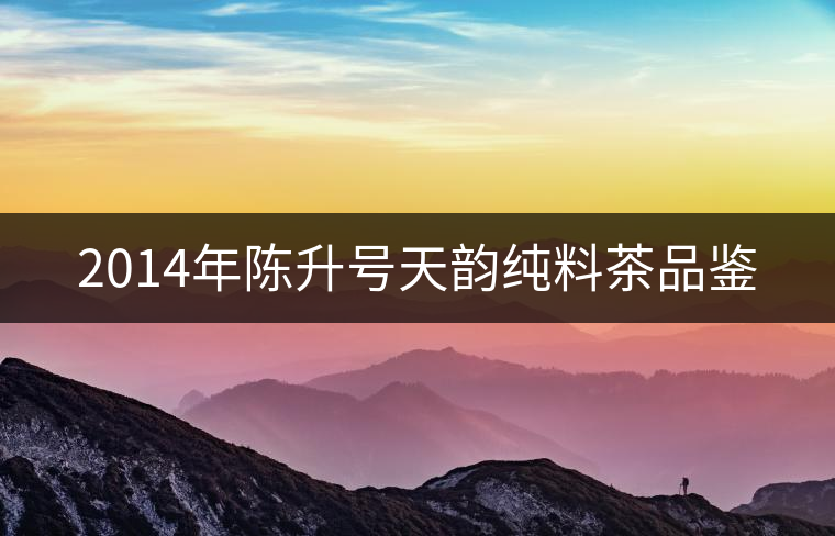 2014年陳升號(hào)天韻純料茶品鑒