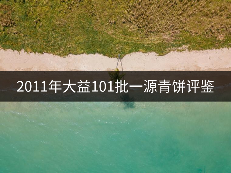 2011年大益101批一源青餅評鑒 2011年大益101批一源青餅評鑒