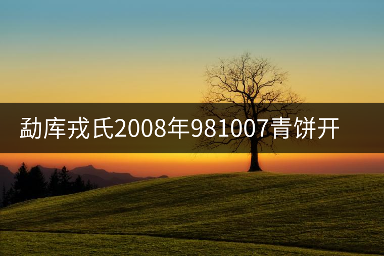 勐庫戎氏2008年981007青餅開湯品鑒 勐庫戎氏2008年981007青餅開湯品鑒