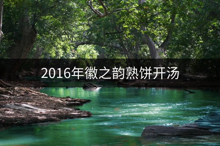 2016年徽之韻熟餅開(kāi)湯 2016年徽之韻熟餅開(kāi)湯