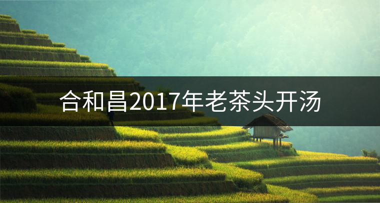 合和昌2017年老茶頭開湯 合和昌2017年老茶頭開湯
