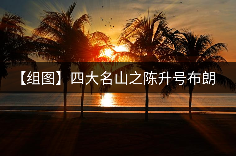 【組圖】四大名山之陳升號布朗山班章開湯 【組圖】四大名山之陳升號布朗山班章開湯