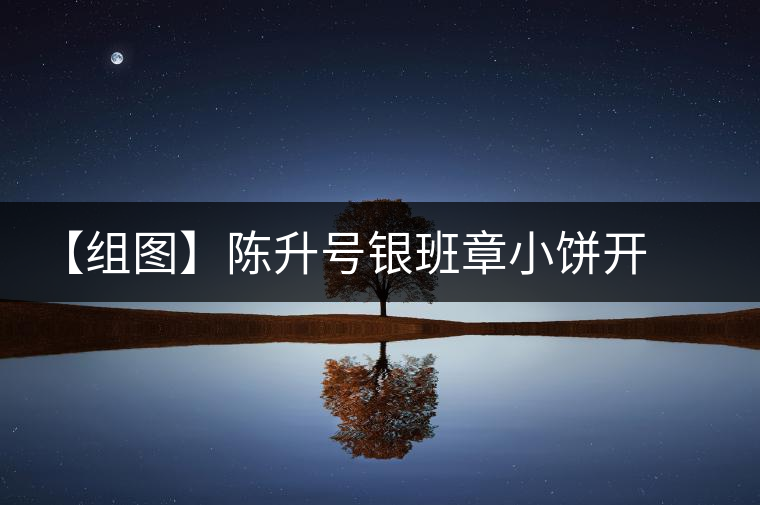 【組圖】陳升號(hào)銀班章小餅開湯 【組圖】陳升號(hào)銀班章小餅開湯