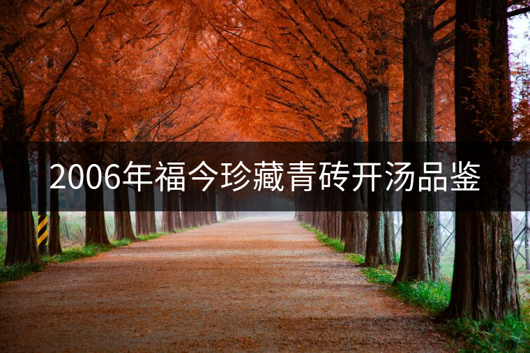 2006年福今珍藏青磚開(kāi)湯品鑒 2006年福今珍藏青磚開(kāi)湯品鑒