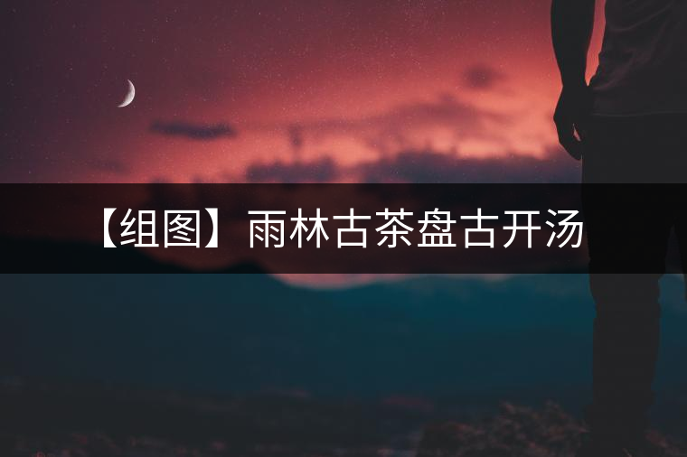 【組圖】雨林古茶盤(pán)古開(kāi)湯 【組圖】雨林古茶盤(pán)古開(kāi)湯