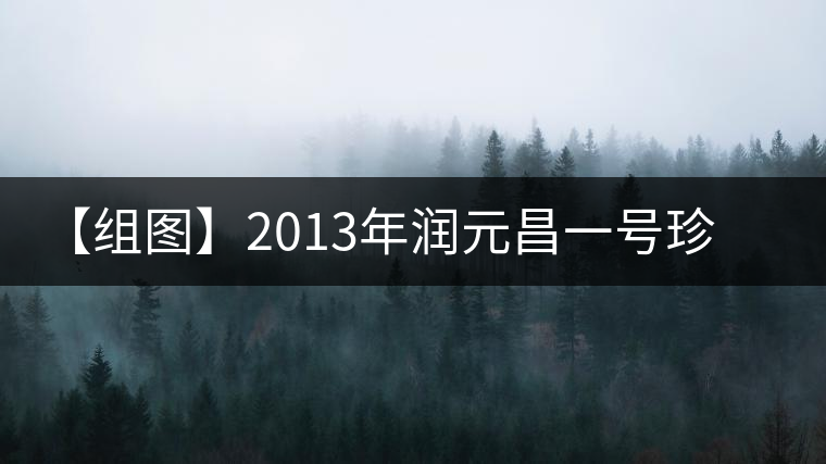 【組圖】2013年潤元昌一號珍藏方磚開湯