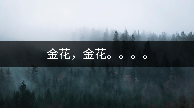 金花，金花。。。。