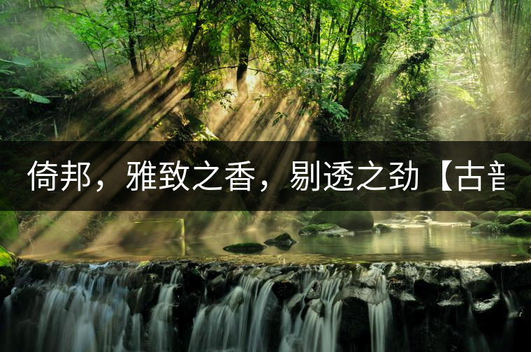 倚邦，雅致之香，剔透之勁【古普十二山品鑒】