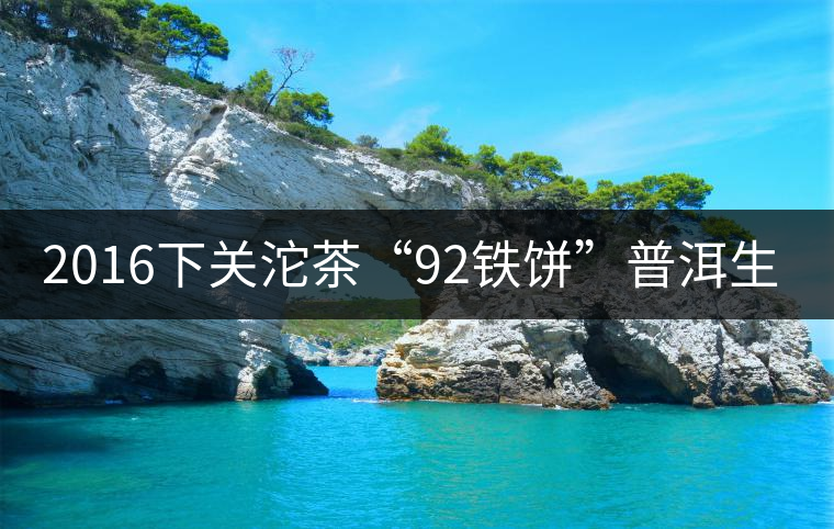 2016下關(guān)沱茶“92鐵餅”普洱生茶 2016下關(guān)沱茶“92鐵餅”普洱生茶