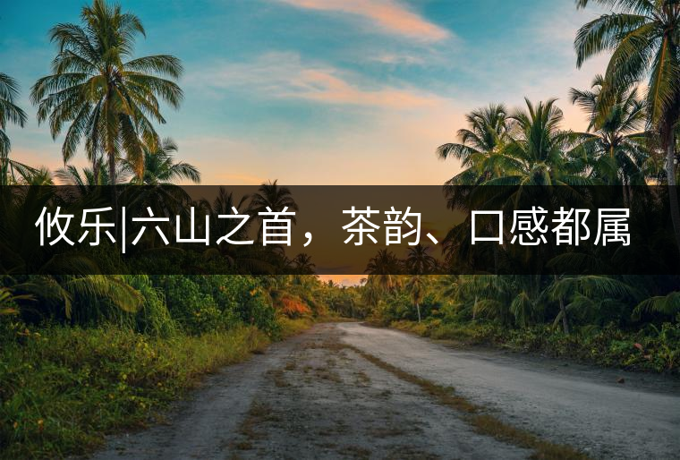 攸樂|六山之首，茶韻、口感都屬古六山一系