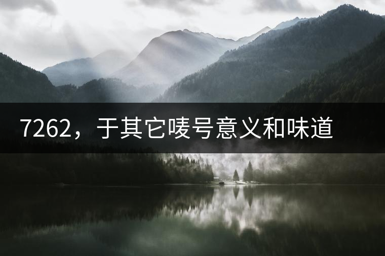 7262，于其它嘜號意義和味道都不一樣的大益高等級熟餅