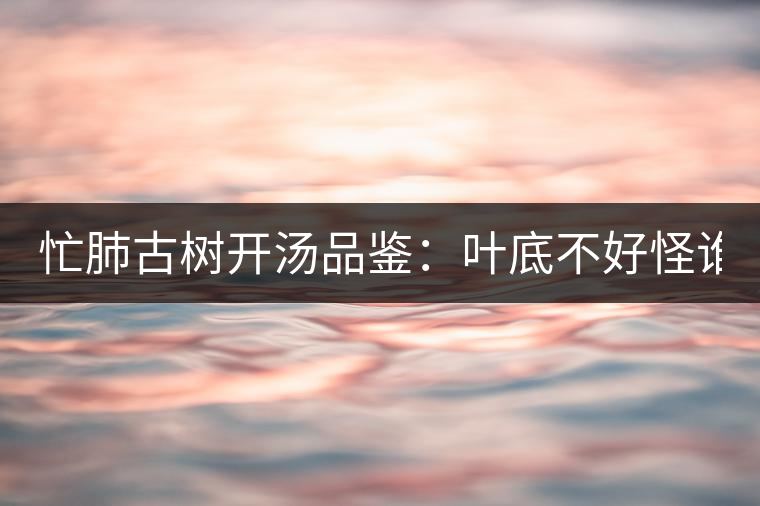 忙肺古樹(shù)開(kāi)湯品鑒：葉底不好怪誰(shuí)？