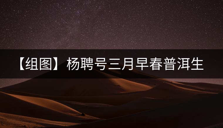 【組圖】楊聘號三月早春普洱生茶開湯