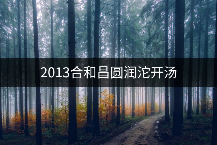 2013合和昌圓潤沱開湯 2013合和昌圓潤沱開湯