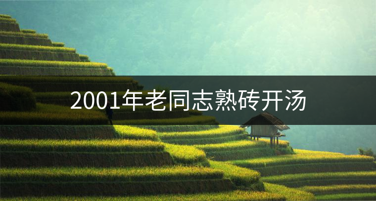 2001年老同志熟磚開湯 2001年老同志熟磚開湯
