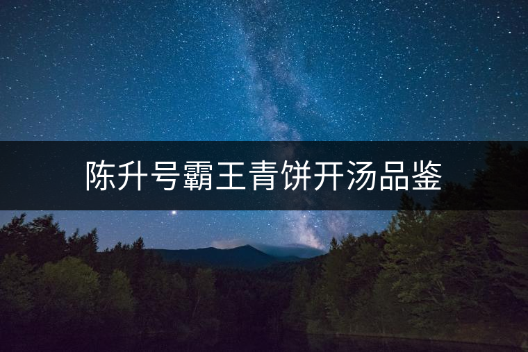 陳升號霸王青餅開湯品鑒 陳升號霸王青餅開湯品鑒