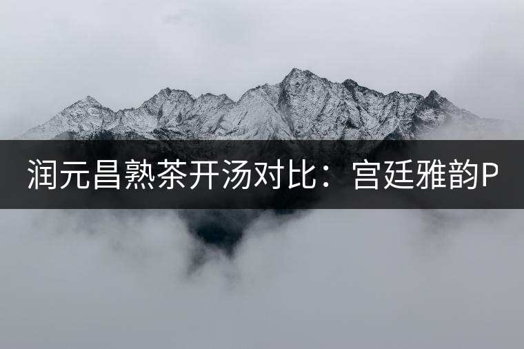 潤(rùn)元昌熟茶開湯對(duì)比:宮廷雅韻PK宮廷貢潤(rùn) 潤(rùn)元昌熟茶開湯對(duì)比:宮廷雅韻PK宮廷貢潤(rùn)