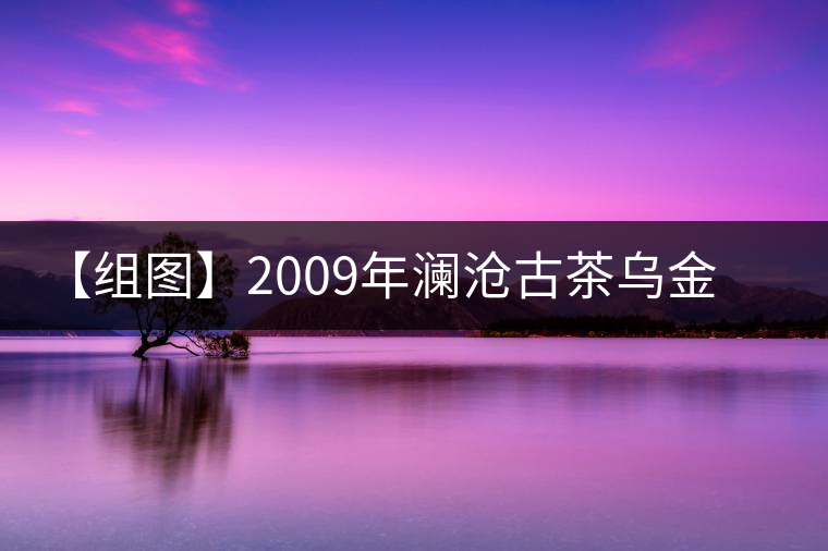 【組圖】2009年瀾滄古茶烏金熟磚開(kāi)湯 【組圖】2009年瀾滄古茶烏金熟磚開(kāi)湯