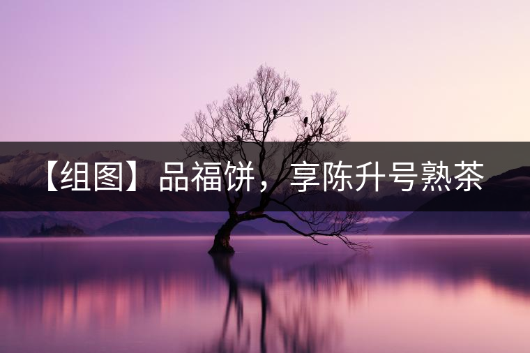 【組圖】品福餅，享陳升號熟茶滋味