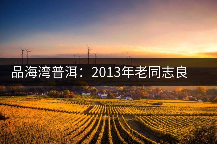 品海灣普洱：2013年老同志良再品普洱茶開(kāi)湯