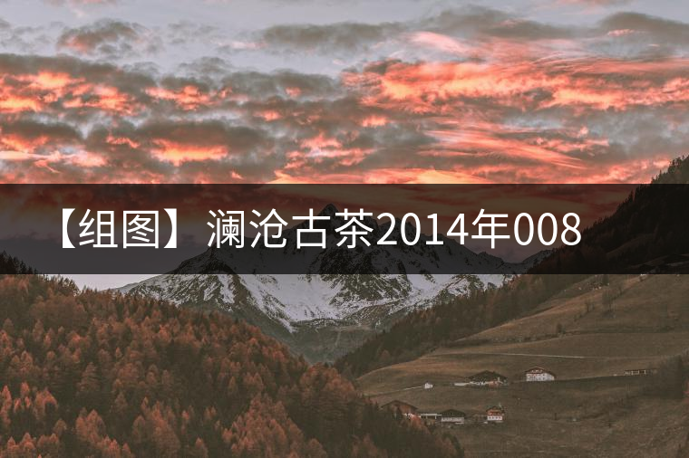 【組圖】瀾滄古茶2014年0085金瓜開湯 【組圖】瀾滄古茶2014年0085金瓜開湯